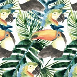 Tropical Bird Portrait Collection E