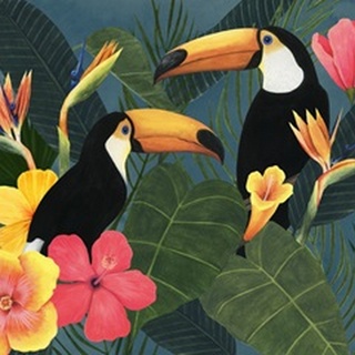 Tropical Wilderness Collection A