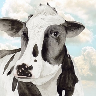 Portrait of a Cow I