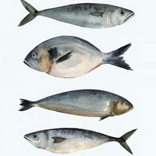 Four Fish II
