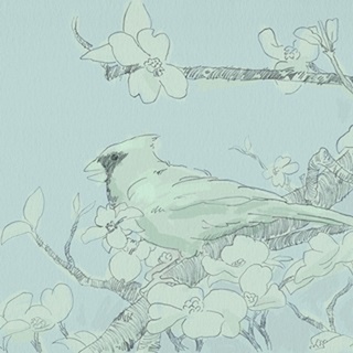 Backyard Bird Sketch II