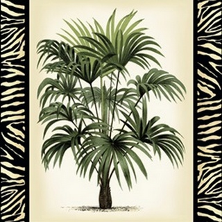 Palm in Zebra Border I