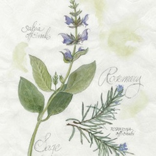 Rosemary and Sage