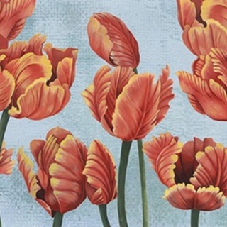 Ruby Tulips I