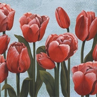 Ruby Tulips II