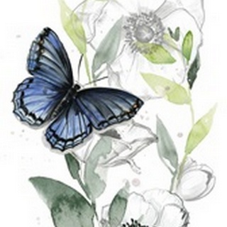 Watercolor Butterfly Collection B