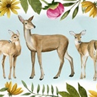 Deer Spring Collection D