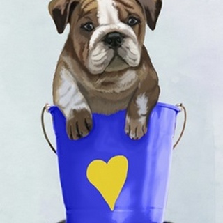 Bulldog Bucket Of Love Blue