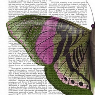 Butterfly in Green and Pink a