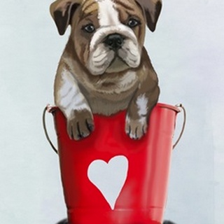 Bulldog Bucket Of Love Red