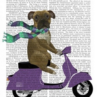 Boxer On Moped