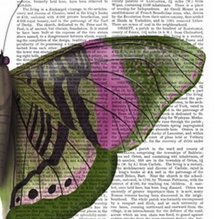 Butterfly in Green and Pink b