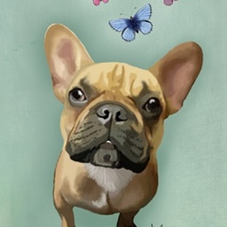 Brown French Bulldog and Butterflies