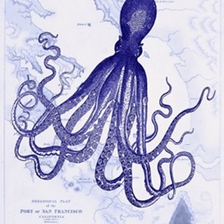 Blue Octopus 1 on Nautical Map