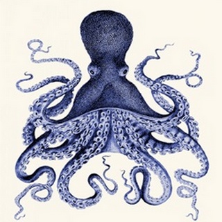 Blue Octopus 3