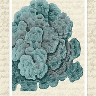 Blue Corals On VIntage Script e