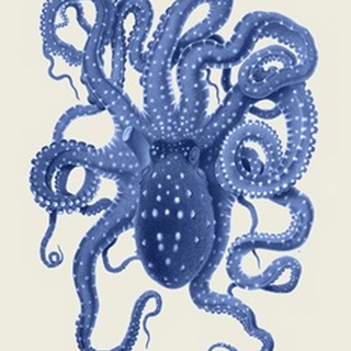 Blue Octopus on Cream a