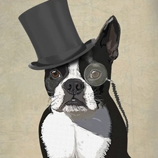 Boston Terrier, Formal Hound and Hat