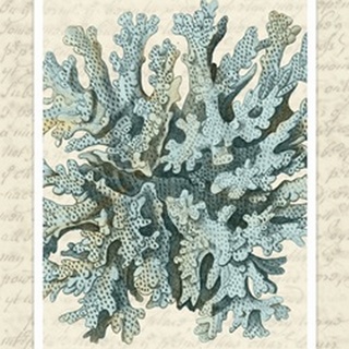 Blue Corals On VIntage Script c