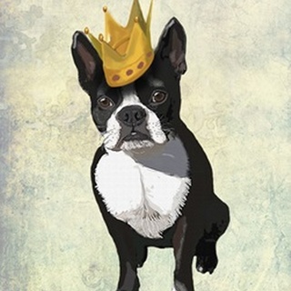 Boston Terrier and Crown