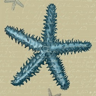 Blue Starfish on Taupe b