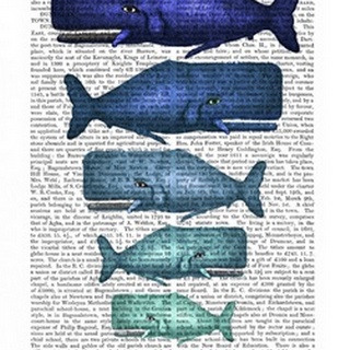 Blue Whale Family