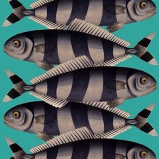 Blue Striped Fish