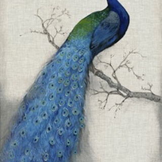 Peacock Blue I