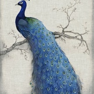 Peacock Blue II