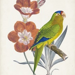 Tropical Bird and Flower III