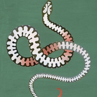 Serpent Shapes I