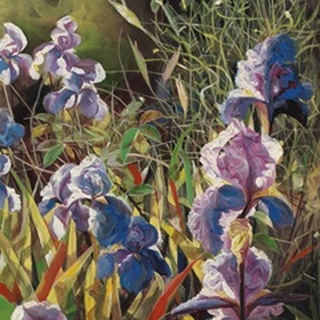 Iris Garden II
