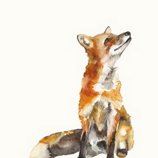 Sly Fox I