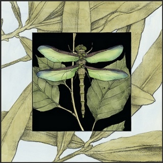 Dragonfly Inset II