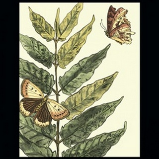 Butterflies and Leaves I