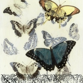 Butterfly Habitat II