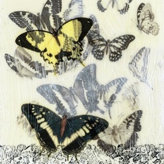 Butterfly Habitat I