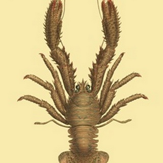Antique Lobster II