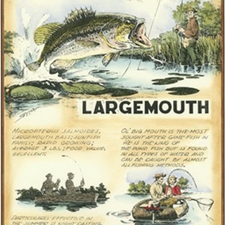Large Mouth