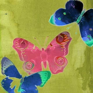 Saturated Butterflies II