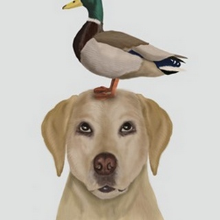 Labrador and Duck