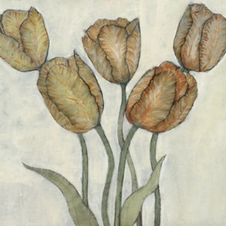 Tulip Floral Study II