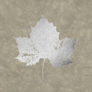 Silver Foil Leaf II on Lichen Wash