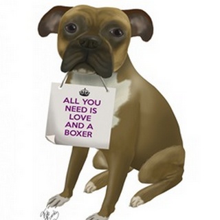 Love and Boxer