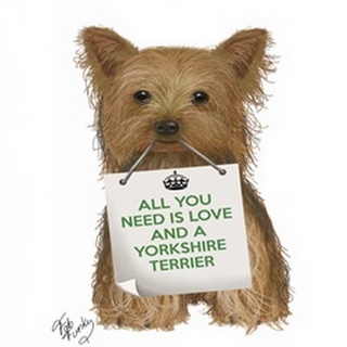 Love and Yorkshire Terrier