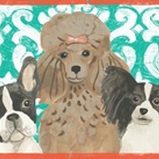 Parlor Pooch Collection D