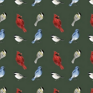 Birch Birds Collection I