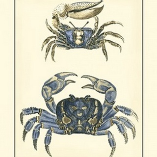 Antique Blue Crabs II