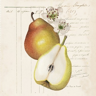 Pryus Fruit Collection A