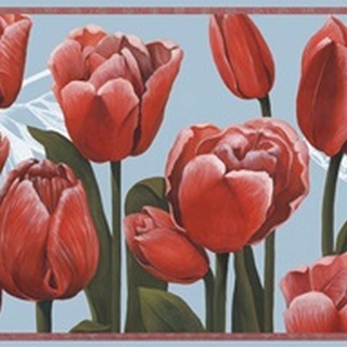 Ruby Tulips Collection A
